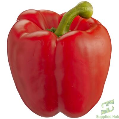 Fresh Red Bell Peppers | 11 LB