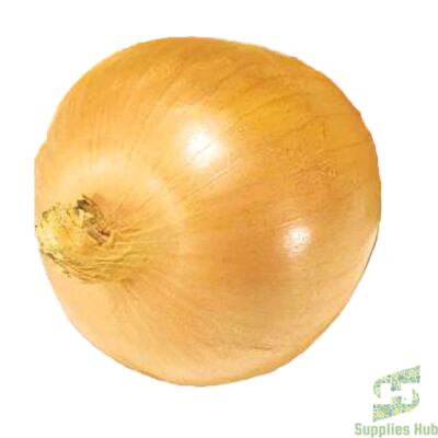 Fresh Yellow Onion  | 50 LB