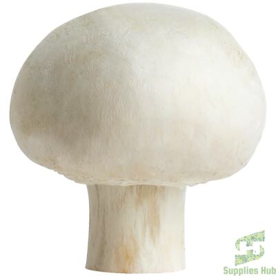Fresh White Mushrooms  | 5 LB