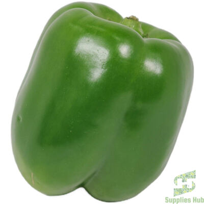 Fresh Green Bell Peppers | 20 - 25 LB