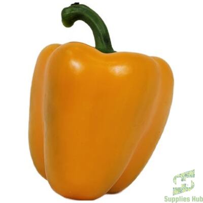 Fresh Yellow Bell Peppers | 11 LB