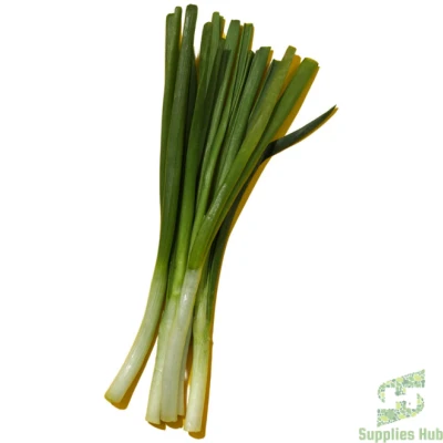 Fresh Green Onion  | 4 x 2 LB