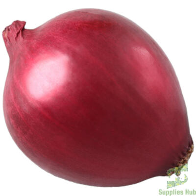 Fresh Red Onion  | 25 LB