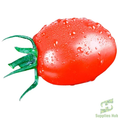 Fresh Tomato - Roma | 25 LB