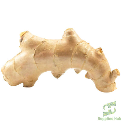 Fresh Ginger Root |25 LB