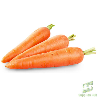 Fresh Carrot  Jumbo | 50 LB