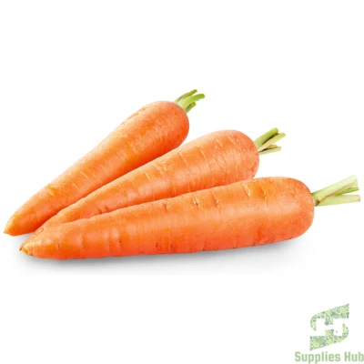 Fresh Carrot  Jumbo | 50 LB