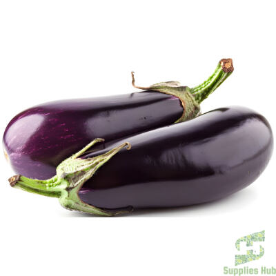 Fresh Eggplant Preminum  | 22 LB