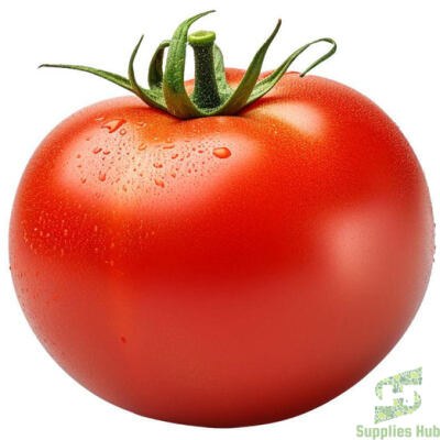 Fresh Tomato - 5 x 6  | 25 LB