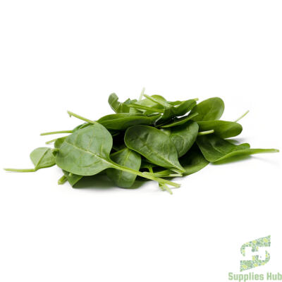 Fresh Spinach Cello Food Service  | 10 LB